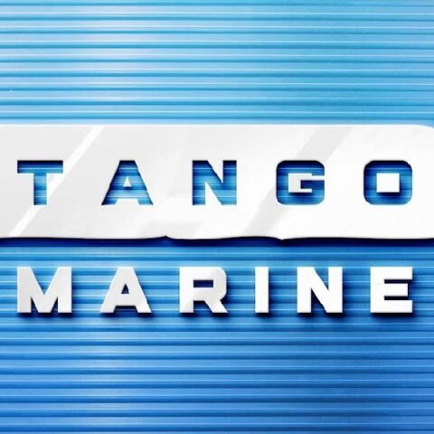 Mercruiser 496 - 8.1 Harmonic Balancer